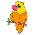 Parrot sitting branch cartoon illustration