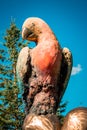 Frederik Meijer Gardens - Grand Rapids, MI /USA - September 4th 2016: Parrot statue in the statue garden at the Frederik Meijer G