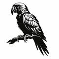 Bold Stencil Parrot Illustration: High Quality Vector Art Royalty Free Stock Photo
