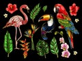 Parrot, toucan, flamingo and flowers embroidery patches elements.