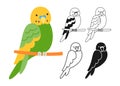 Parrot tropical cartoon set exotic bright budgerigar parrots sitting outline sign funny vivid vector Royalty Free Stock Photo