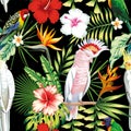 Parrot tropical flowers and leaves seamless pattern black backgr