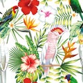 Parrot tropical flowers and leaves seamless pattern white backgr Royalty Free Stock Photo