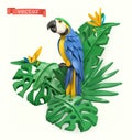 Parrot and tropical leaves. Summer time concept. vector objects. Plasticine art illustration Royalty Free Stock Photo