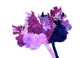 parrot tulip illustration Royalty Free Stock Photo