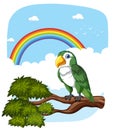 A parrot with a vibrant rainbow