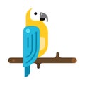Parrot on wooden tree branch icon vector flat illustration. Bird habitat of tropical rainforest