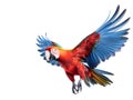 Parrots are considered one of the smartest birds. A symbol of cheerful, bright and colors. Generative AI.
