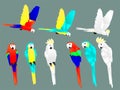 Parrots paper cut set style