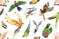 Parrots pattern. Seamless tropical background with exotic jungle birds. Endless repeating print with different ara