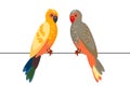 Parrots sit on a wire. Birds on a wire. Isolated illustration on a white background. Cartoon style. Vector illustration.