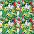 Parrots, Tropical birds, exotic plants jungle, leaves and orchid, hibiscus flowers, seamless pattern, palm background