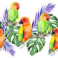 parrots tropical leaves and flowers