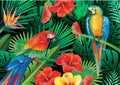 Parrots with tropical plants Royalty Free Stock Photo
