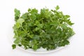 Parsley Royalty Free Stock Photo