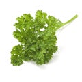 Parsley