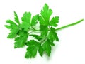 Parsley