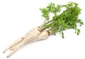 Parsley