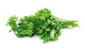 Parsley