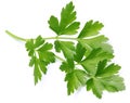 Parsley.