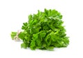 Parsley aromatic herb