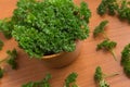 Parsley into a bowl Royalty Free Stock Photo