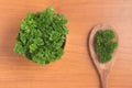 Parsley into a bowl Royalty Free Stock Photo