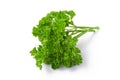 Parsley bunch Royalty Free Stock Photo