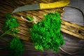 Parsley bunch flavor wooden curley background green organic
