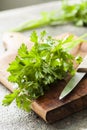 Parsley Royalty Free Stock Photo