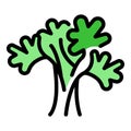 Parsley bunch icon color outline vector