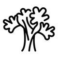 Parsley bunch icon, outline style