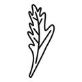 Parsley bunch icon outline vector. Herb leaf