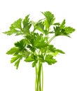 Parsley bunch