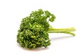 Parsley bunch isolated on white background Royalty Free Stock Photo