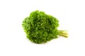 Parsley bunch isolated on white background Royalty Free Stock Photo