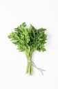 Parsley bunch isolated on white background. Flat lay. Minimal food concept Royalty Free Stock Photo