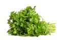 Parsley bunch isolated on a white background. Parsley herb leaves Royalty Free Stock Photo
