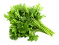 Parsley bunch isolated on white background