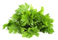 Parsley bunch isolated on white background Royalty Free Stock Photo