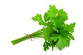 Parsley bunch Royalty Free Stock Photo