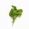 Parsley bunch white background isolated white background leaves fragrant herb Royalty Free Stock Photo