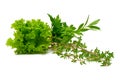 Parsley, Celery, Sage, Thyme, Rosemary, Lettuce, fresh spices isolated on white background Royalty Free Stock Photo