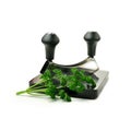 Parsley Chopping Board Royalty Free Stock Photo