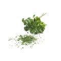 Parsley (Curly-leaf) Royalty Free Stock Photo