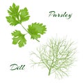 Parsley and dill.