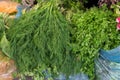 Parsley and dill for sale at city market. Baku