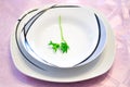 Parsley in a dinner plate Royalty Free Stock Photo