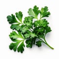 Parsley, famous ingredient of the green smell