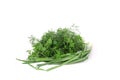 Parsley fennel and green onions.